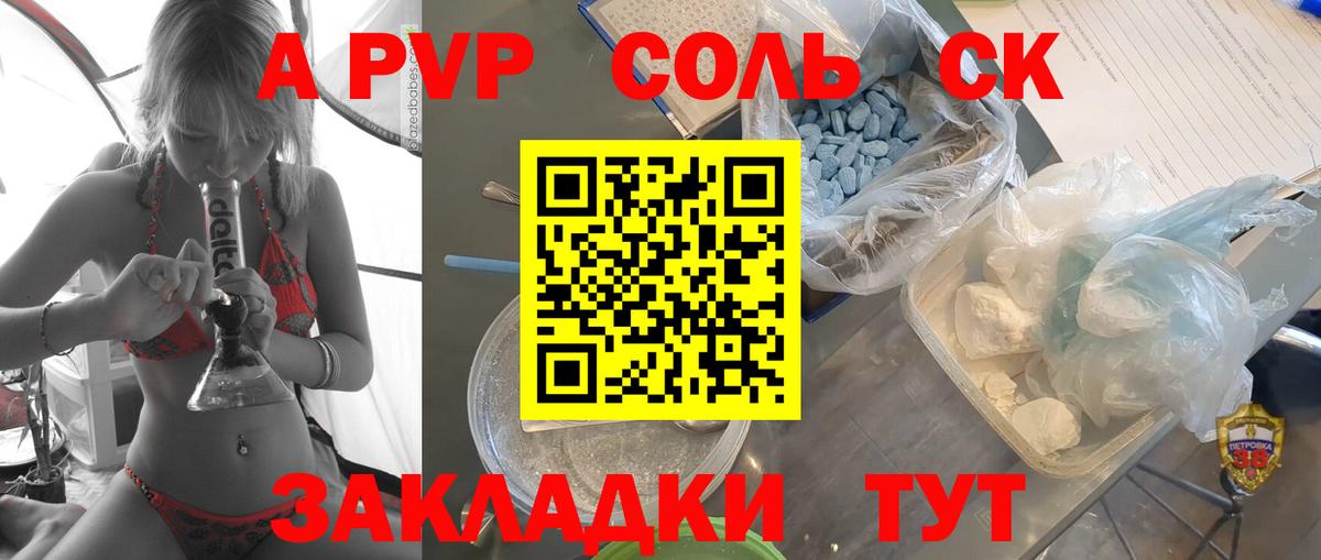 A PVP СК КРИС Саратов
