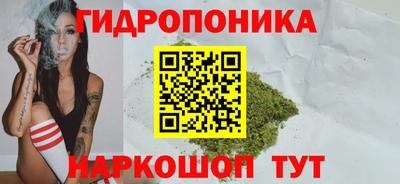 сатива Будённовск