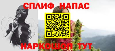 сатива Будённовск