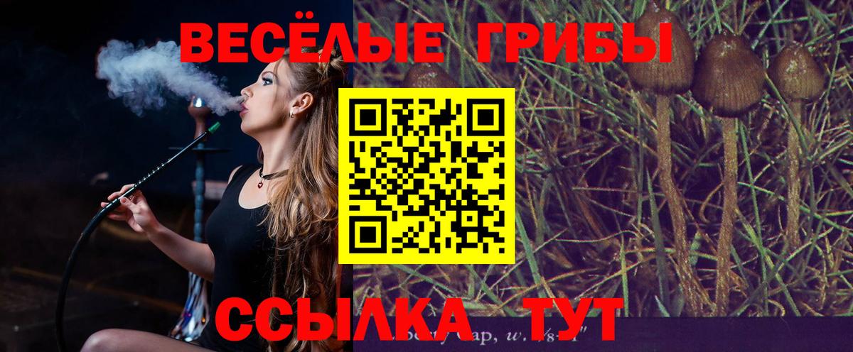 Галлюциногенные грибы Psilocybe Саратов
