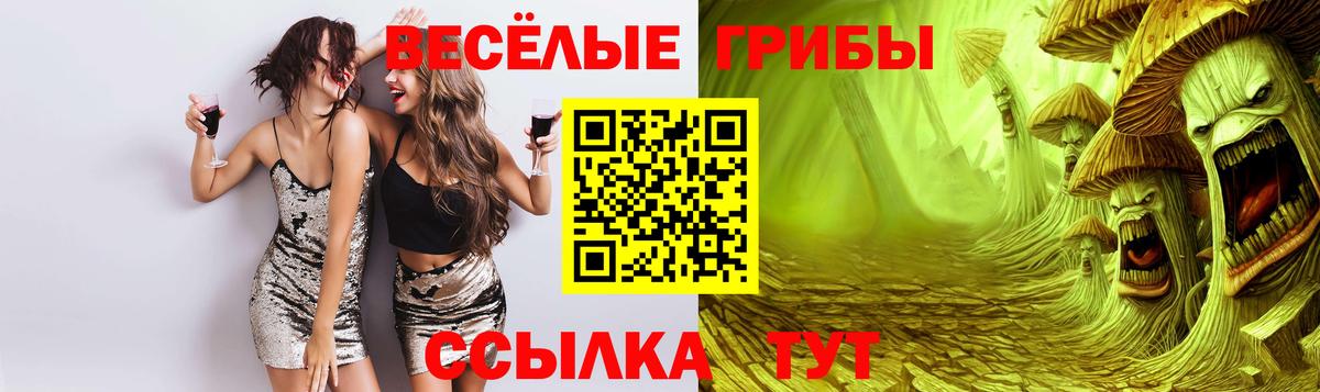 Галлюциногенные грибы ЛСД  Вход с VPN  Галлюциногенные грибы мицелий  Саратов 